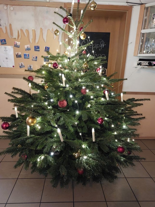 Weihnachtsbaum im Clubheim